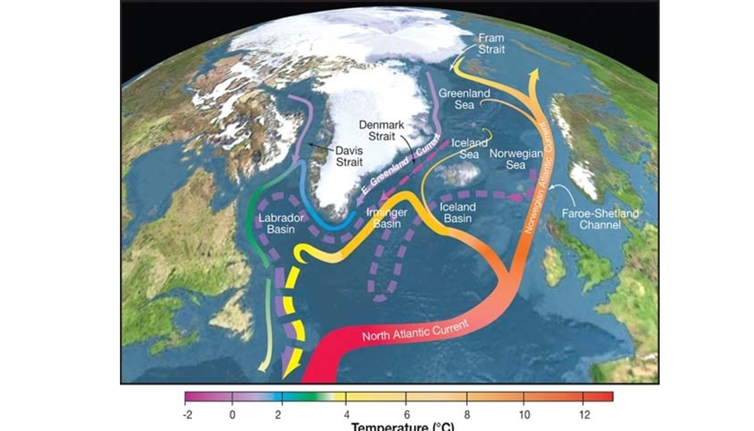 principali correnti oceaniche appartenenti alla circolazione termoalina nel Nord Atlantico