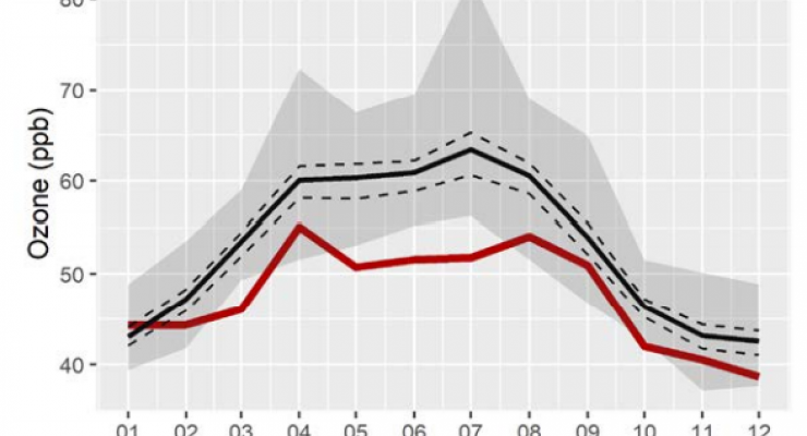 Medie mensili di O3 a Monte Cimone dal 1996 al 2020. La linea nera rappresenta la media 1996–2019, la  linea rossa indica i dati del 2020, le linee tratteggiate rappresentano gli intervalli di confidenza al 95%, e l’area grigia  rappresenta il range dei dati medi mensili per il periodo 1996–2019