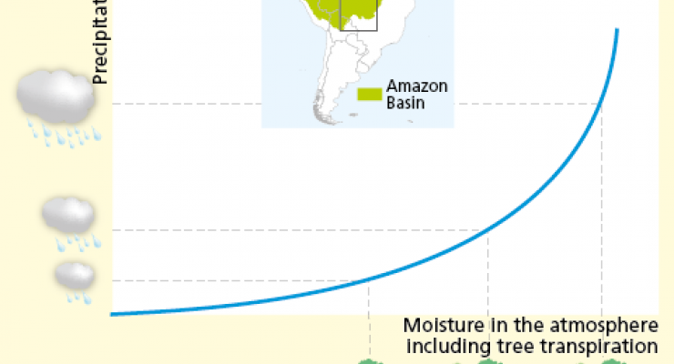 Precipitation vs. Moisture in the Atmosphere