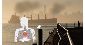 Trasporto marittimo: quale impatto su salute e ambiente