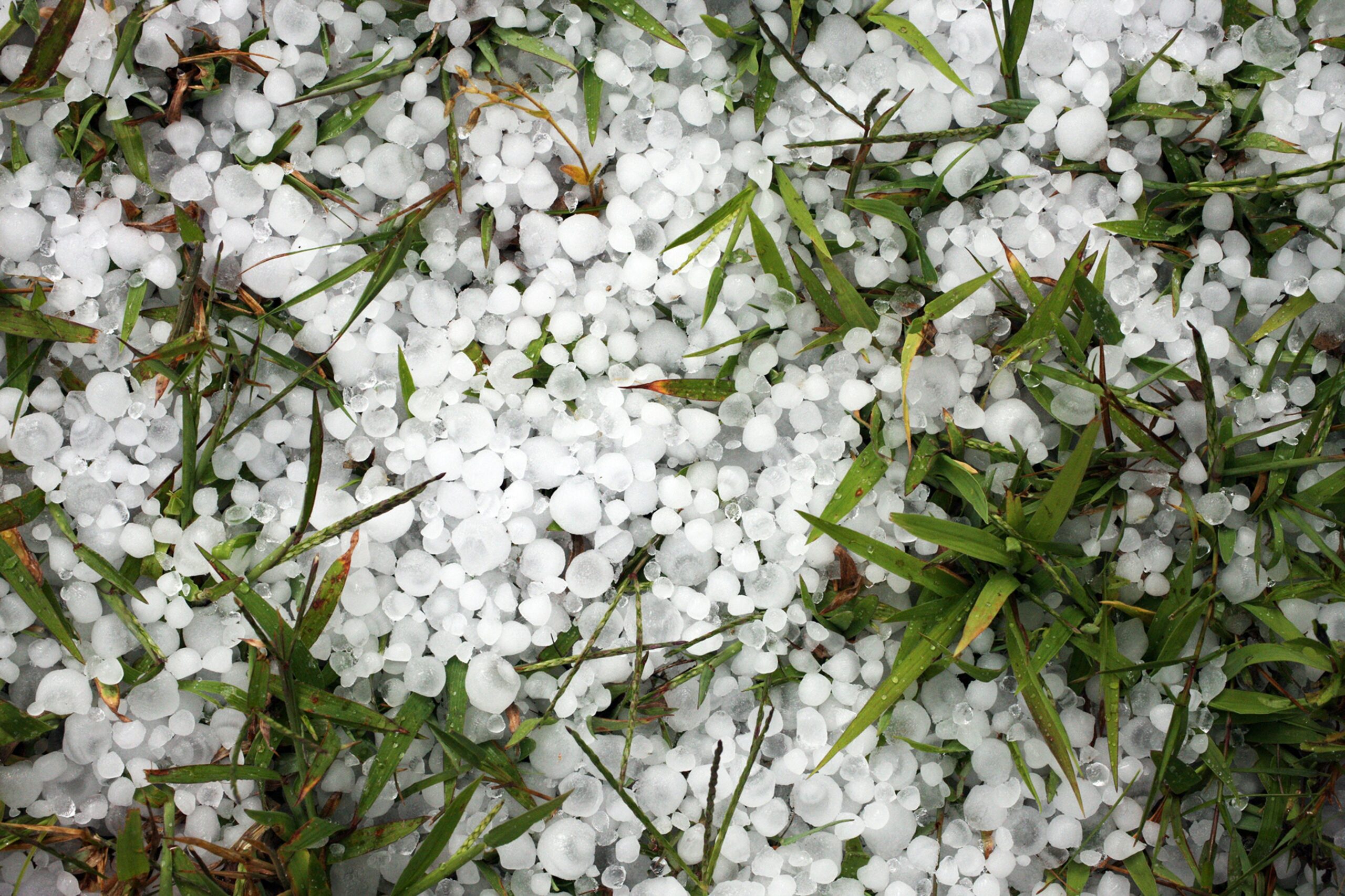 BE HAILSTORM CHASER – Diventa cacciatore di grandinate